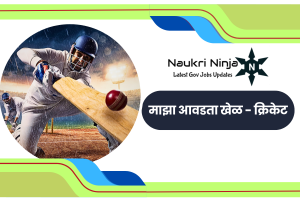 maza avadta khel marathi nibandh