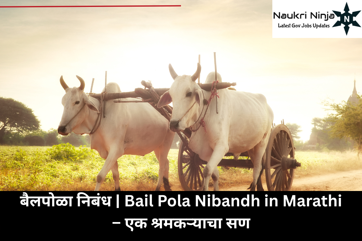 बैलपोळा निबंध | Bail Pola Nibandh in Marathi – एक श्रमकऱ्याचा सण