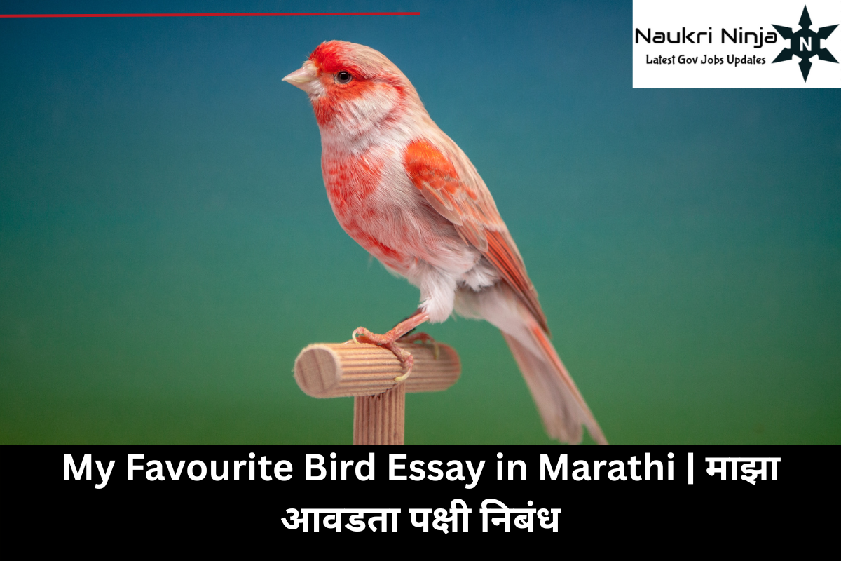 My Favourite Bird Essay in Marathi | माझा आवडता पक्षी निबंध