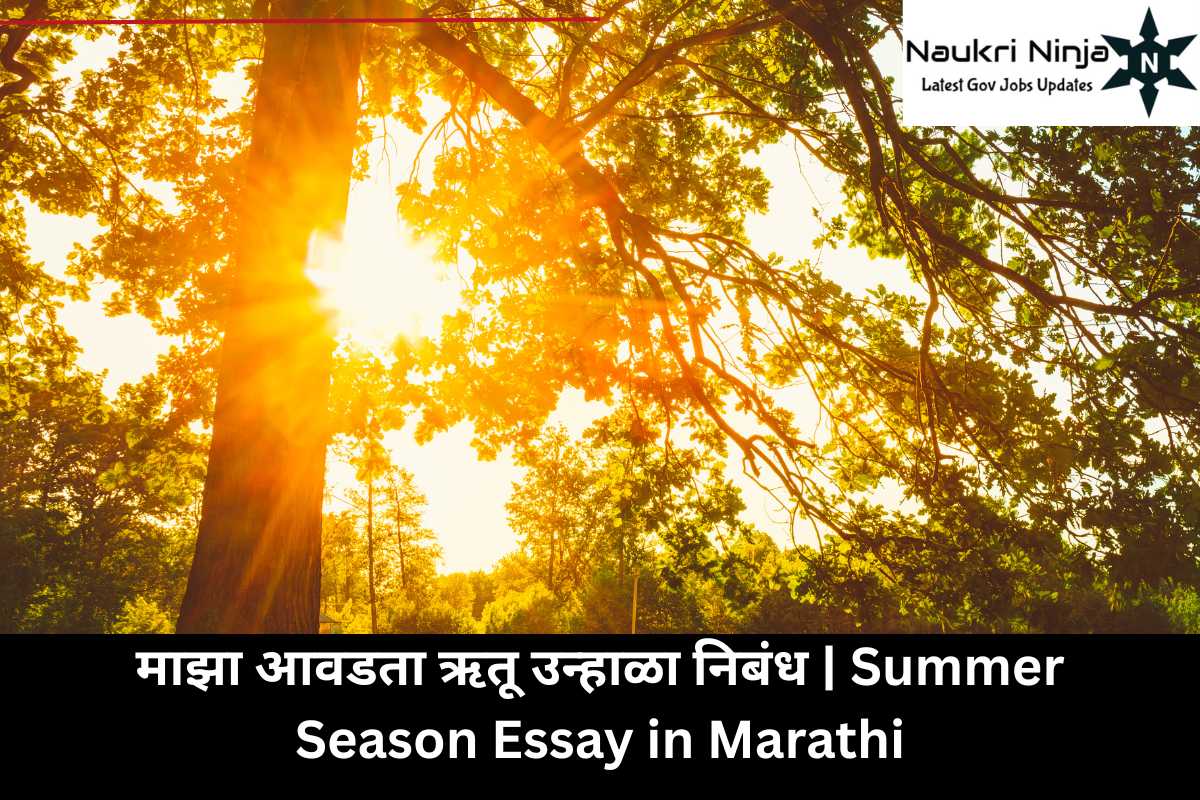 माझा आवडता ऋतू उन्हाळा निबंध | Summer Season Essay in Marathi