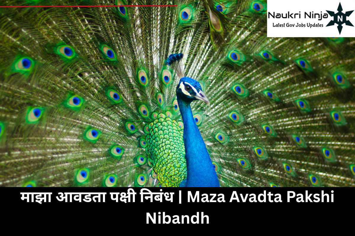 माझा आवडता पक्षी निबंध | Maza Avadta Pakshi Nibandh