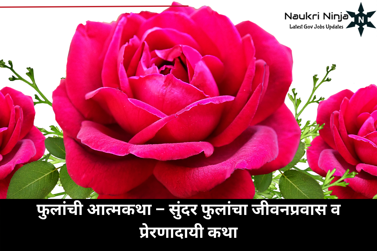 फुलांची आत्मकथा – सुंदर फुलांचा जीवनप्रवास व प्रेरणादायी कथा